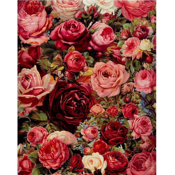 Rose Universe - Van-Go Paint by Numbers Kit | Stornfield