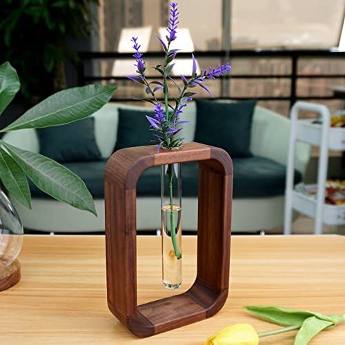 Stornfield Hollow Plant Propagator