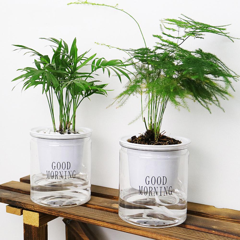 Stornfield | Self-Watering Hydro Planter