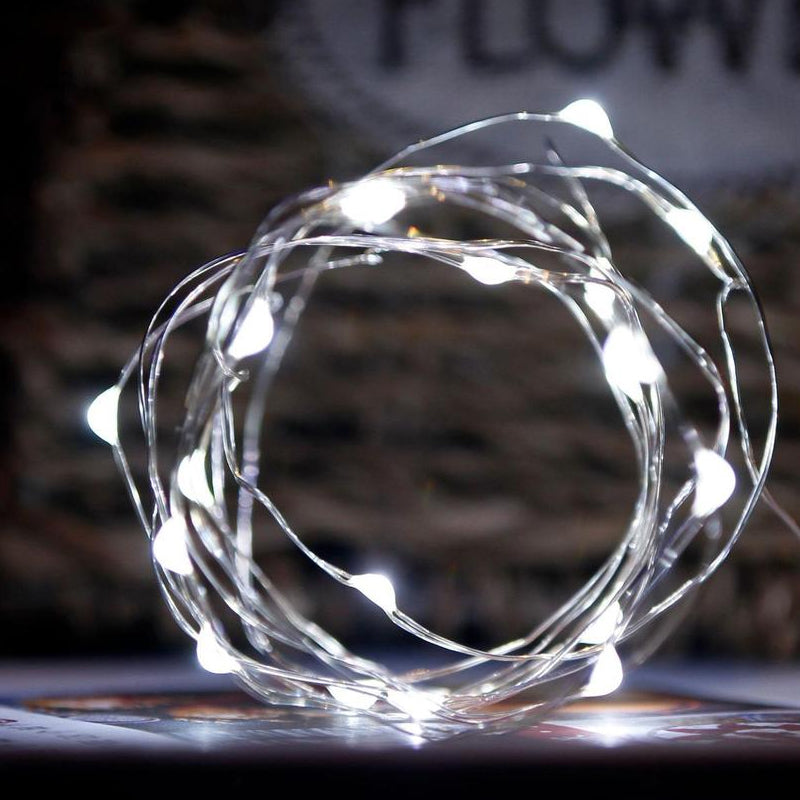 Decorative USB Copper Wire String Lights | Stornfield