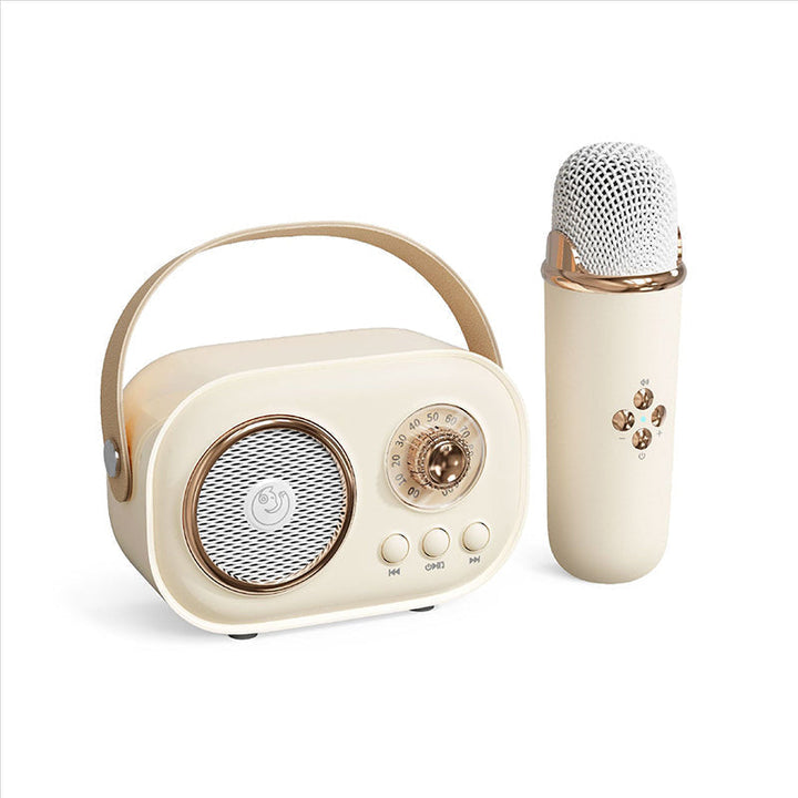 Portable Bluetooth speaker with wireless microphone | Stornfield