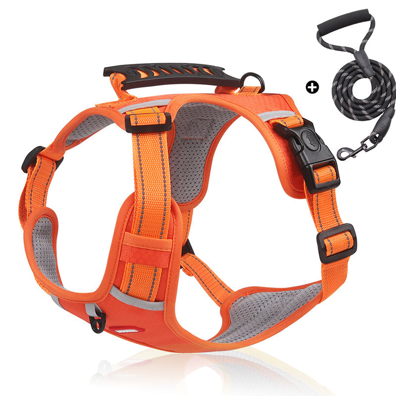 Reflective Dog Harness | Stornfield