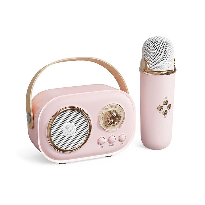 Portable Bluetooth speaker with wireless microphone | Stornfield