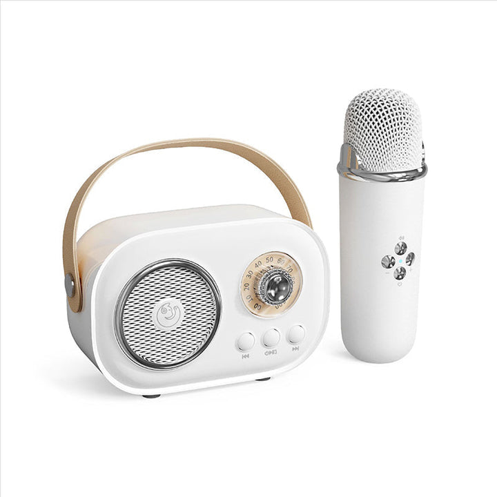 Portable Bluetooth speaker with wireless microphone | Stornfield