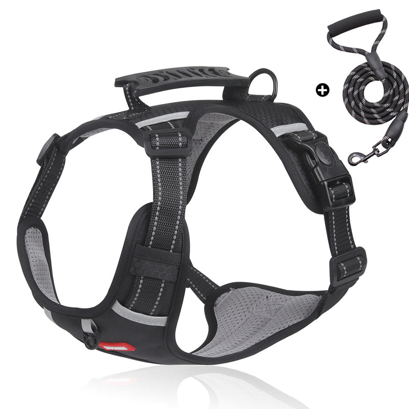 Reflective Dog Harness | Stornfield