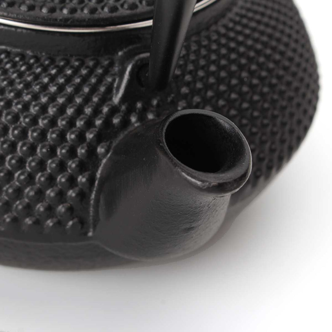 Small 2oz Cast Iron Tea Pot Teapot Kettle With Strainer Flower Tea Kettle | Stornfield