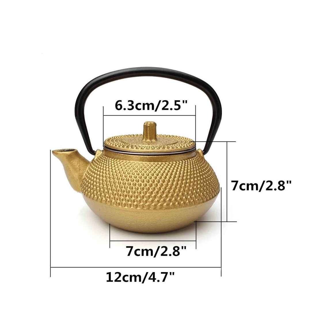 Small 2oz Cast Iron Tea Pot Teapot Kettle With Strainer Flower Tea Kettle | Stornfield