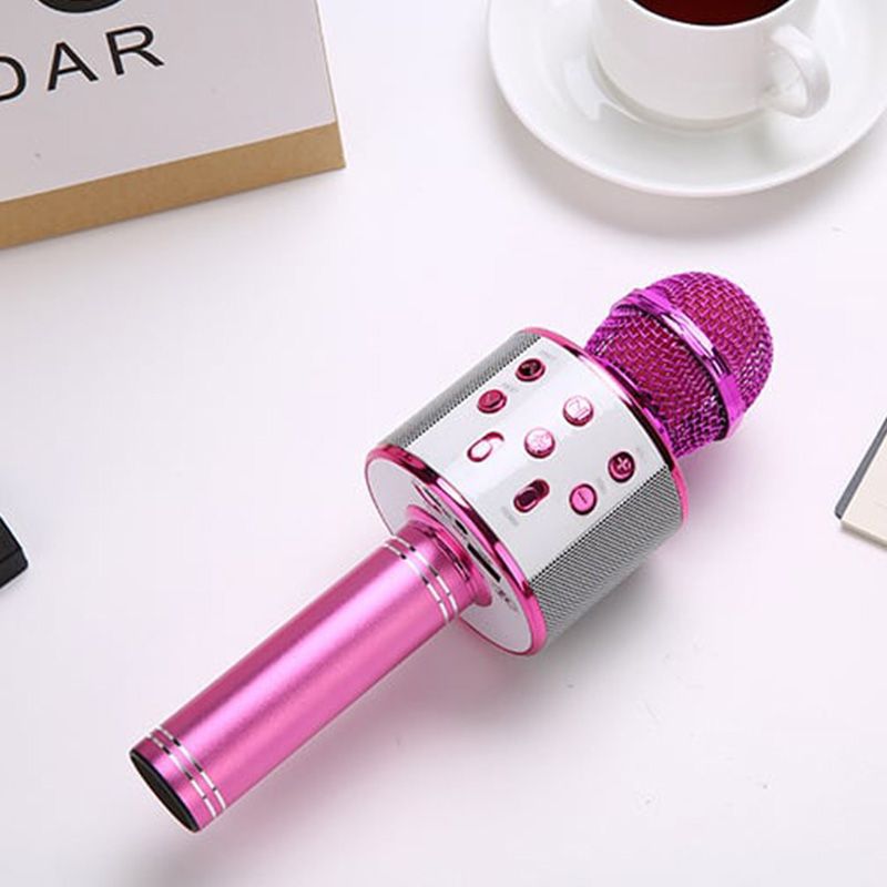 Stornfield | Sing Anywhere: The Ultimate Wireless Karaoke Microphone!