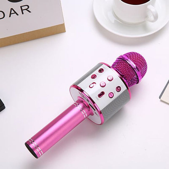 Stornfield | Sing Anywhere: The Ultimate Wireless Karaoke Microphone!