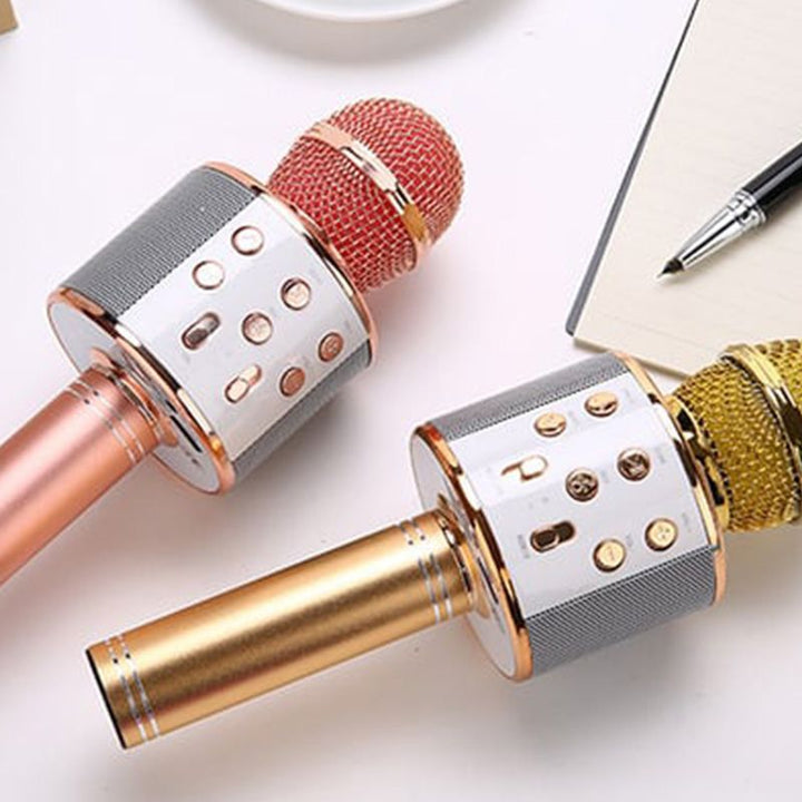 Wireless Karaoke Microphone with Bluetooth | Stornfield