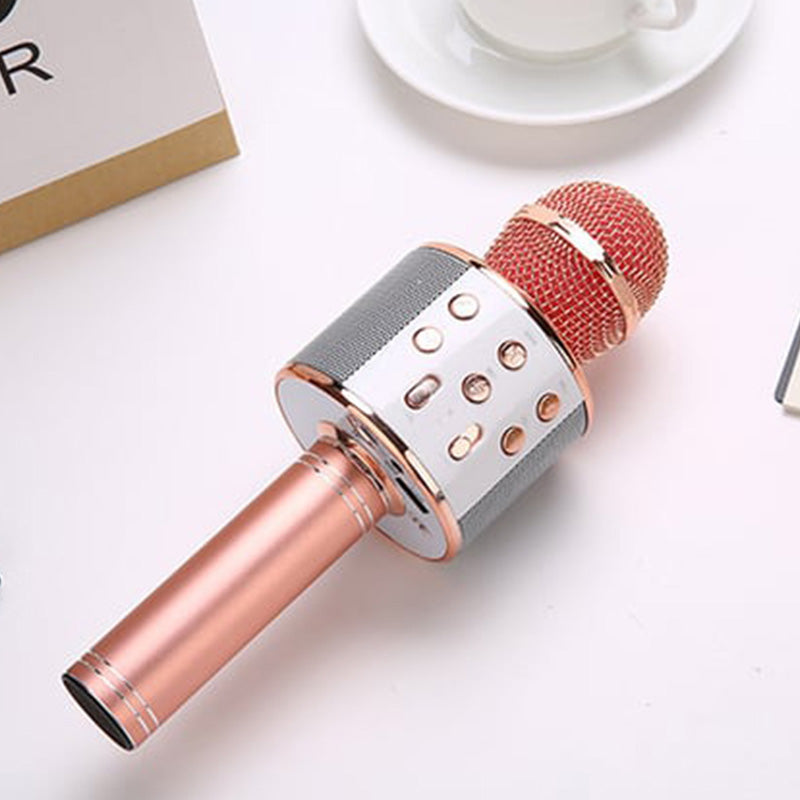 Stornfield | Sing Anywhere: The Ultimate Wireless Karaoke Microphone!
