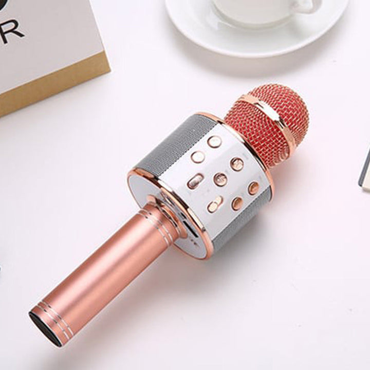 Stornfield | Sing Anywhere: The Ultimate Wireless Karaoke Microphone!