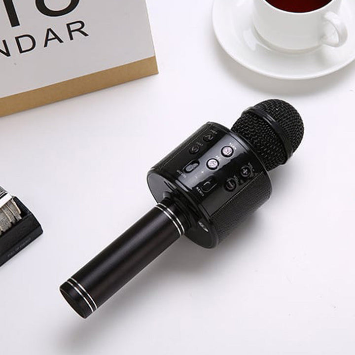 Stornfield | Sing Anywhere: The Ultimate Wireless Karaoke Microphone!