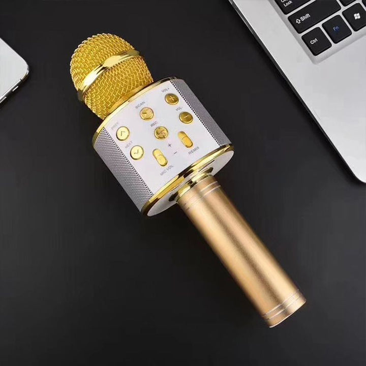 Wireless Karaoke Microphone with Bluetooth | Stornfield