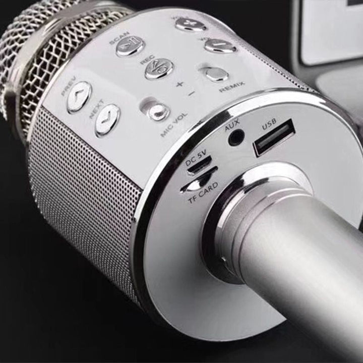 Stornfield | Sing Anywhere: The Ultimate Wireless Karaoke Microphone!