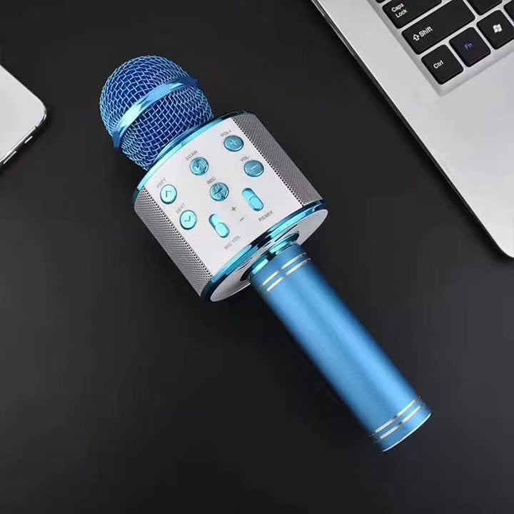 Stornfield | Sing Anywhere: The Ultimate Wireless Karaoke Microphone!