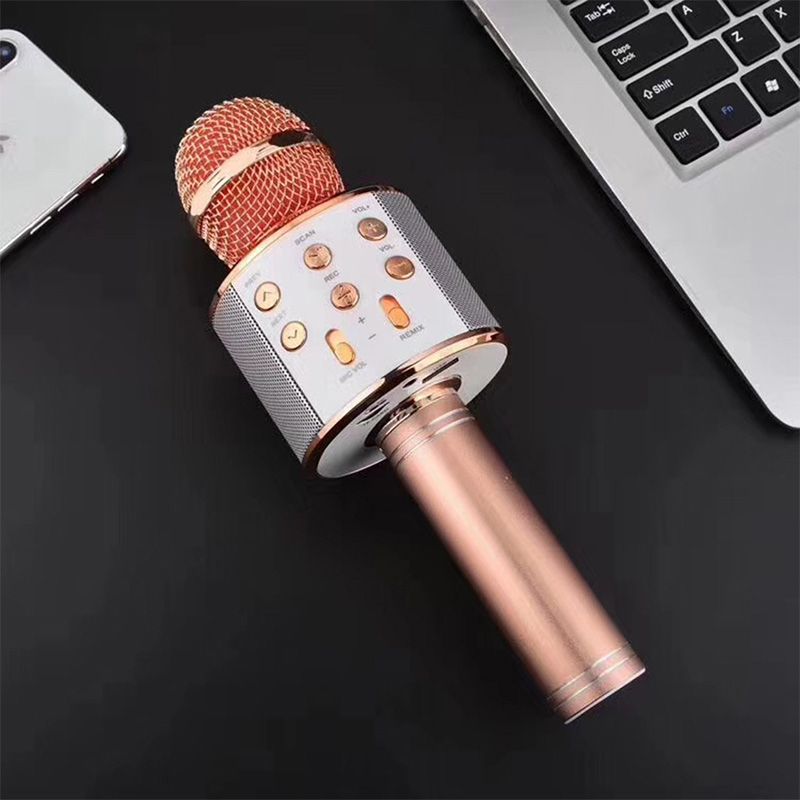 Wireless Karaoke Microphone with Bluetooth | Stornfield