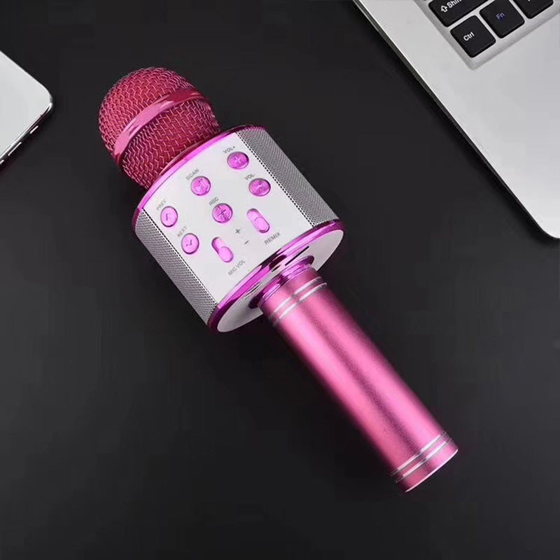Wireless Karaoke Microphone with Bluetooth | Stornfield