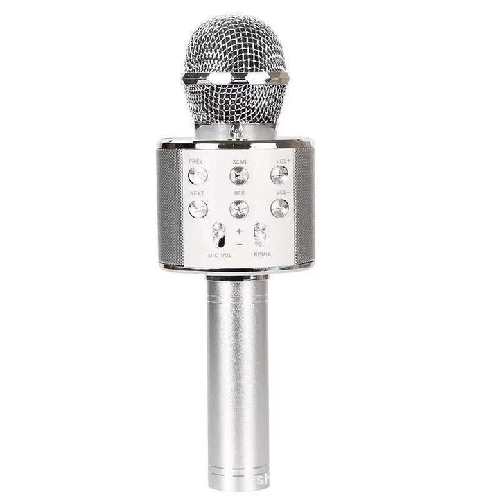 Wireless Karaoke Microphone with Bluetooth | Stornfield