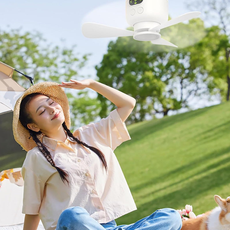 Rechargeable Ceiling Fan with LED Lights | Stornfield