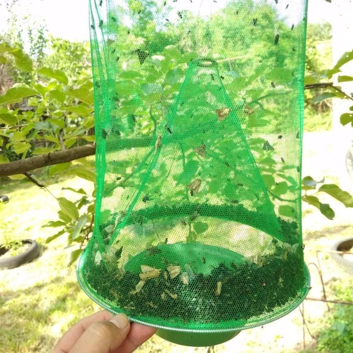 Fly trap – catch up to 40,000 flies | Stornfield
