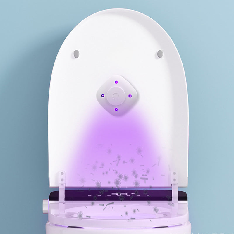 Stornfield | UV toilet sterilization lamp set