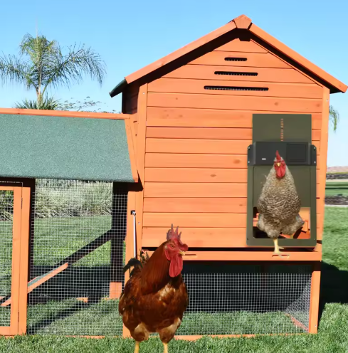 Stornfield | Automatic Chicken Coop Door Opener with Timer and Light Sensor