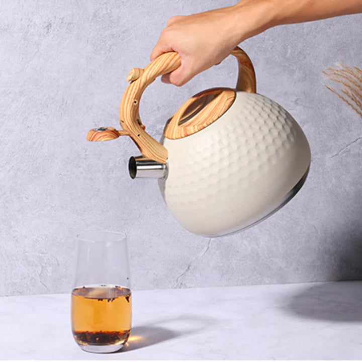 Tea kettle with Anti-Scald Handle Stainless Steel Whistling Kettle | Stornfield