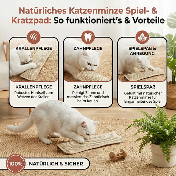 Stornfield durable and sturdy catnip scratching pillow for cats