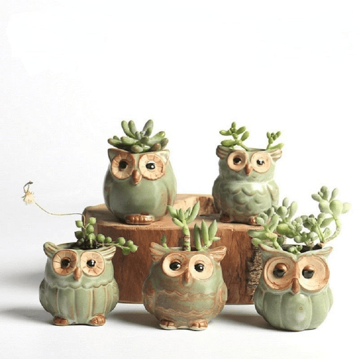 Stornfield | 5-piece Ceramic Owl Flower Pot Set