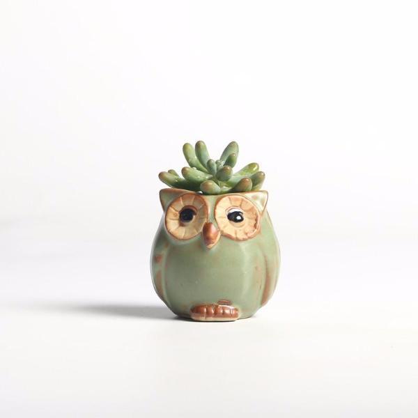 Stornfield | 5-piece Ceramic Owl Flower Pot Set