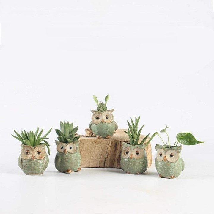 Stornfield | 5-piece Ceramic Owl Flower Pot Set