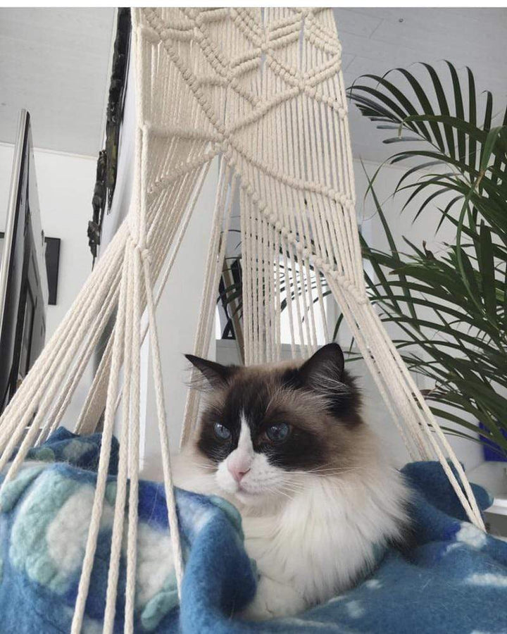 Stornfield | Macrame Cat Hammock