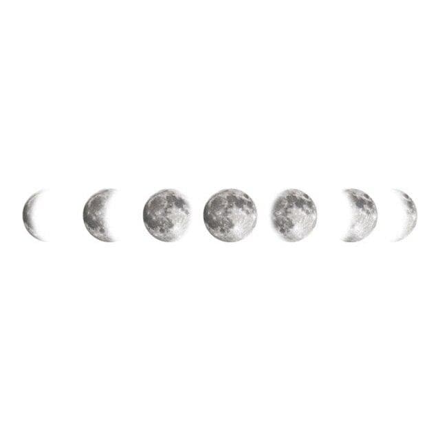 Stornfield | Mouth Phases Wall Decal
